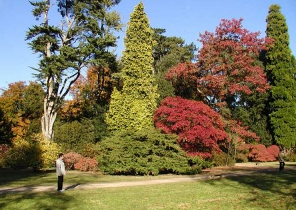 Arboretum